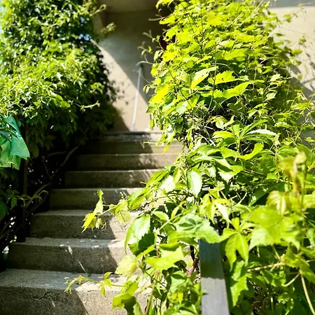 招待所 Blisko Morza Mierzeja Z Lazienka Tanio 斯蒂格纳